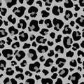 Seamless pattern gray Leopard print . Leopard background vector illustration